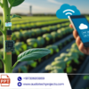 A Wireless Biosensor Node for In Vivo and Real-Time Plant Monitoring in Precision Agriculture (Abstract)