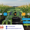 An Early and Smart Detection of Corn Plant Leaf Diseases Using IoT and Deep Learning Multi-Models (Abstract)
