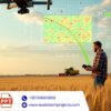 Field-Scale Precision: Predicting Grain Yield of  Diverse Wheat Breeding Lines Using High-Throughput UAV Multispectral Imaging (Abstract)
