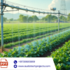 Integrating IoT with LoRa Technology for Sustainable Smart Agriculture Practices (Abstract)