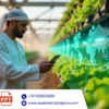 Sustainable Industrial Agriculture in the UAE: Leveraging IoT and AI Technologies (Abstract)