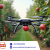 PDAOD: An Unsupervised Domain Adaptation Method for Orchard Apple (Abstract)